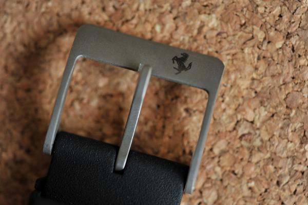 1021 FORTIS 1 DSC_1085.jpg